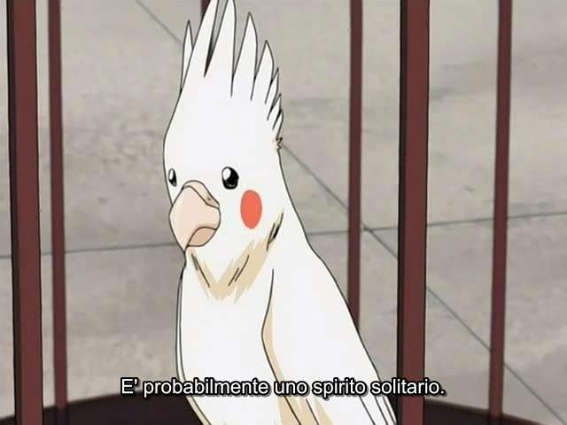 Otaku Gallery  / Anime e Manga / Bleach / Screen Shots / Episodi / 004 - Il pappagallo maledetto / 040.jpg